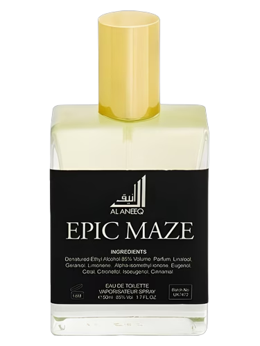 Epic Maze