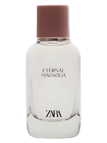 Eternal Magnolia
