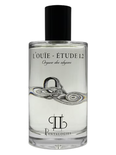 Etude 1.2: L’Ouïe