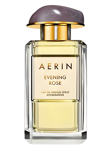 Evening Rose