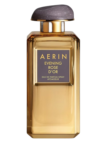 Evening Rose D'Or