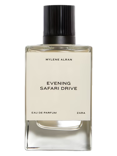 Evening Safari Drive