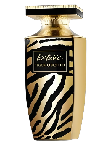Extatic Tiger Orchid