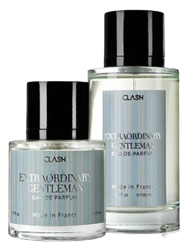 Extraordinary Gentleman by Clash