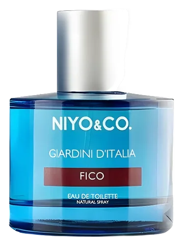 Fico by NIYO&CO