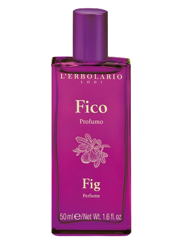 Fico / Fig