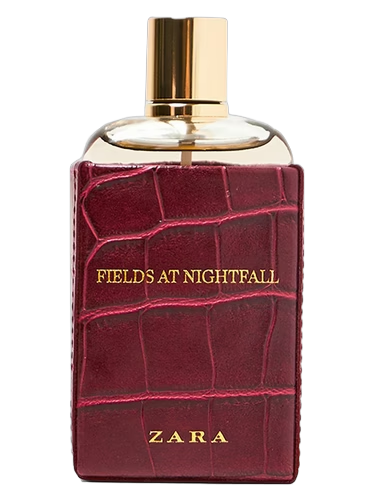 Fields at Nightfall 2018