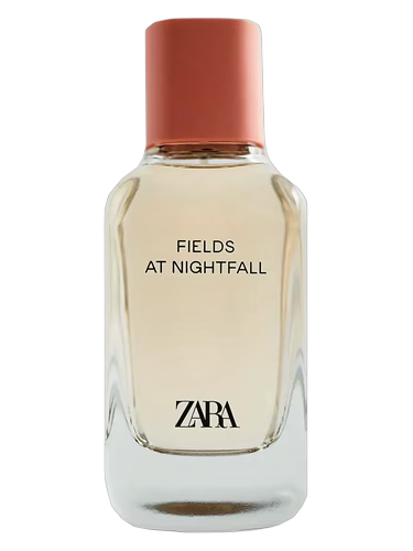 Fields at Nightfall 2020