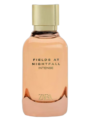 Fields At Nightfall Intense