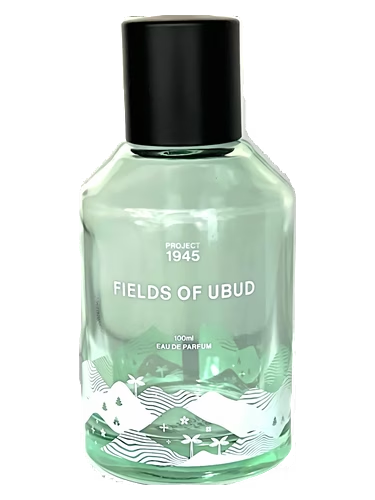 Fields of Ubud