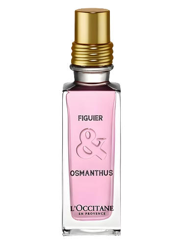 Figuier & Osmanthus