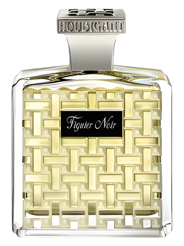 Figuier Noir