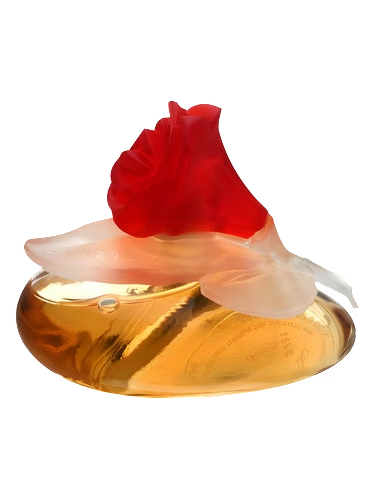 Fiorilu En Fleur