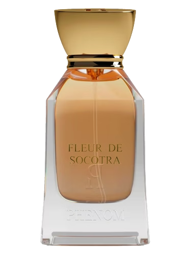 Fleur de Socotra