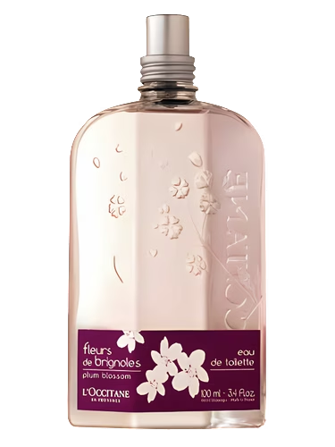 Fleurs de Brignoles (Plum Blossom)