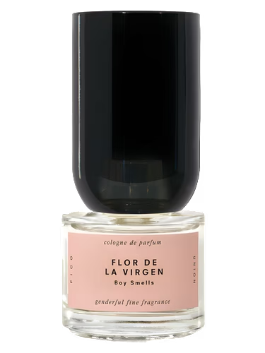 Flor de la Virgen