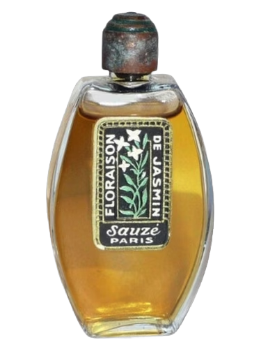 Floraison de Jasmin by Sauzé