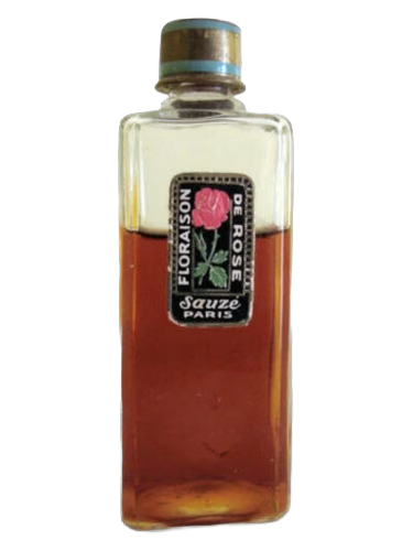 Floraison de Rose