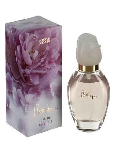 Florentyna by Marks & Spencer