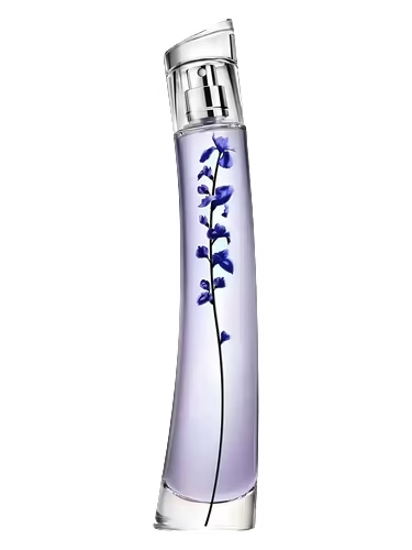 Flower Ikebana Indigo