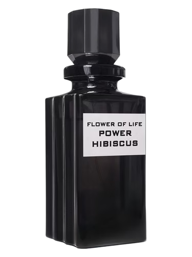 Flower of life Power HIBISCUS
