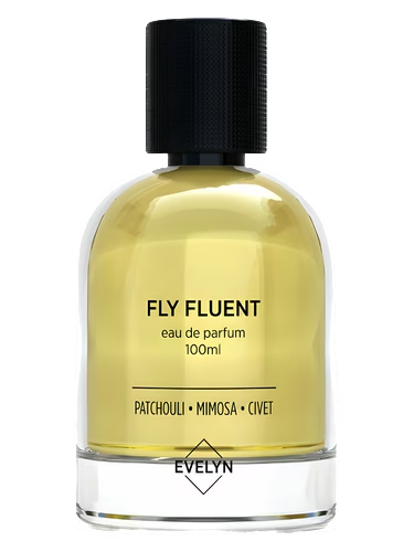 Fly Fluent