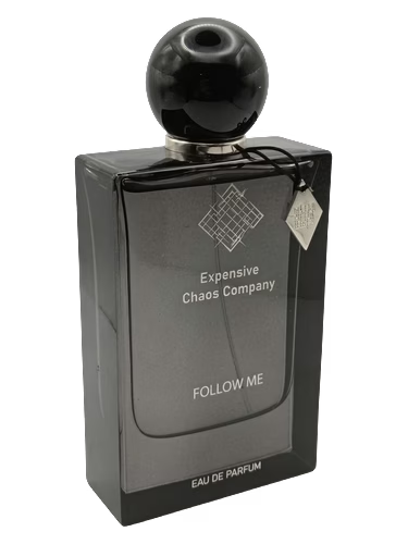 Follow Me by Expensive Chaos Company