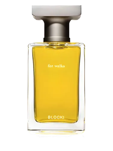 For Walks by Blocki