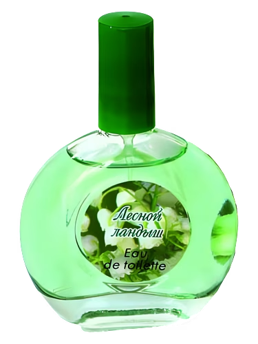 Forest Lily-of-the-Valley Лесной Ландыш