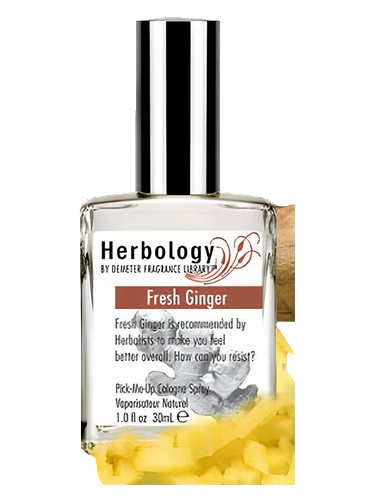 Fresh Ginger