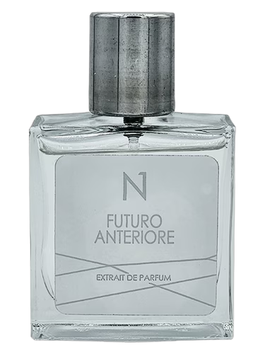 Futuro Anteriore