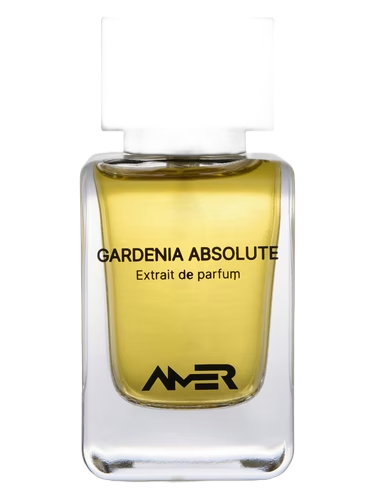 Gardenia Absolute