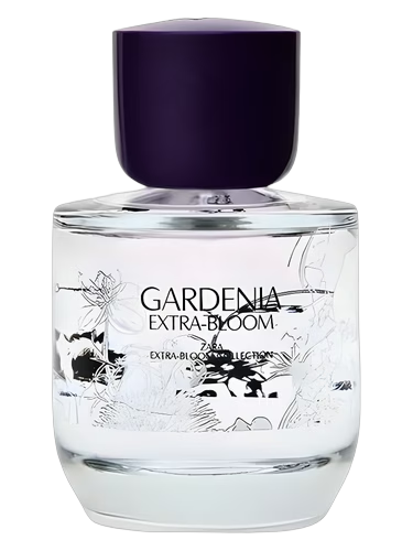 Gardenia Extra-Bloom by Zara
