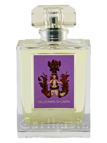 Gelsomini di Capri 2017