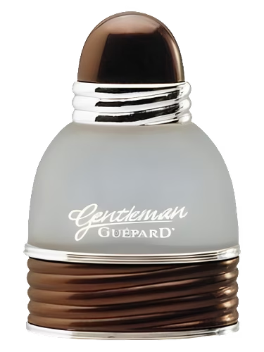 Gentleman Guepard