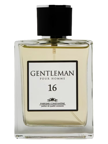 Gentleman N. 16
