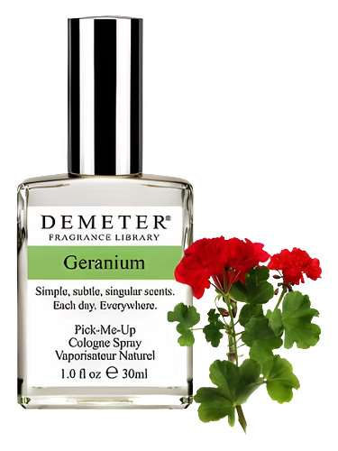 Geranium