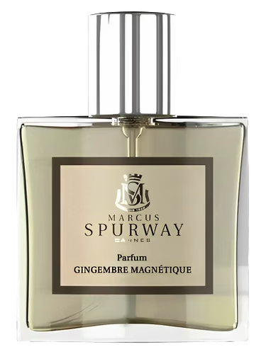 Gingembre Magnétique