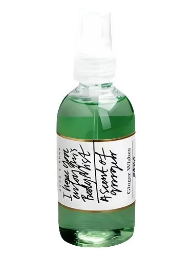 Ginger Wishes Body Mist by And Other Stories
