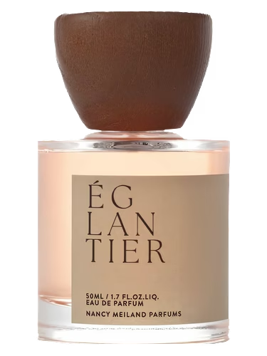Églantier