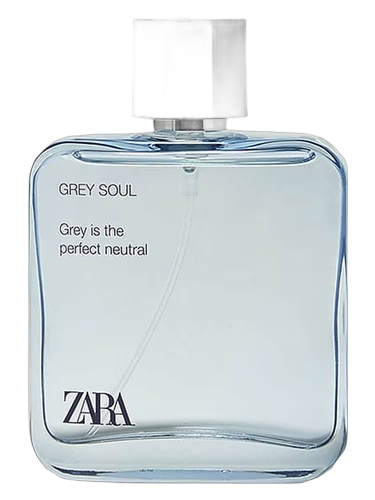 Grey Soul by Zara