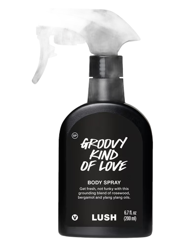 Groovy Kind Of Love