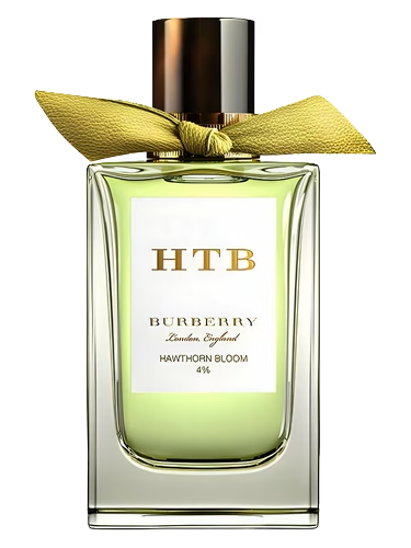 Hawthorn Bloom