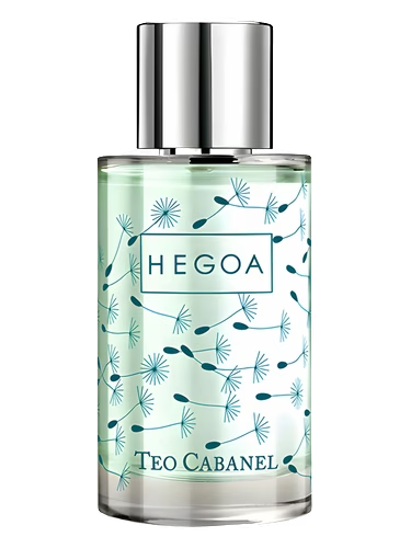 Hegoa