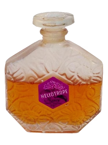 Heliotrope