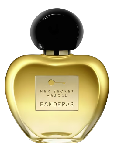 Her Secret Absolu