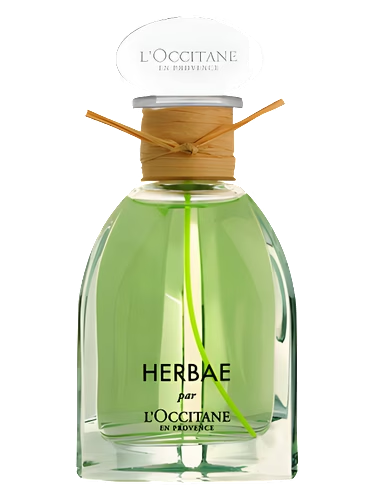 Herbae