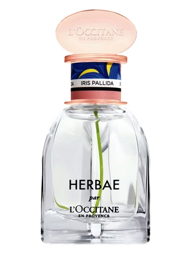 Herbae Iris Pallida