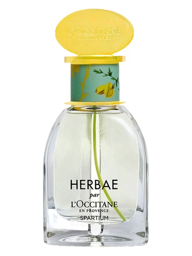 Herbae Spartium