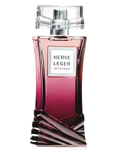Herve Leger Intrigue